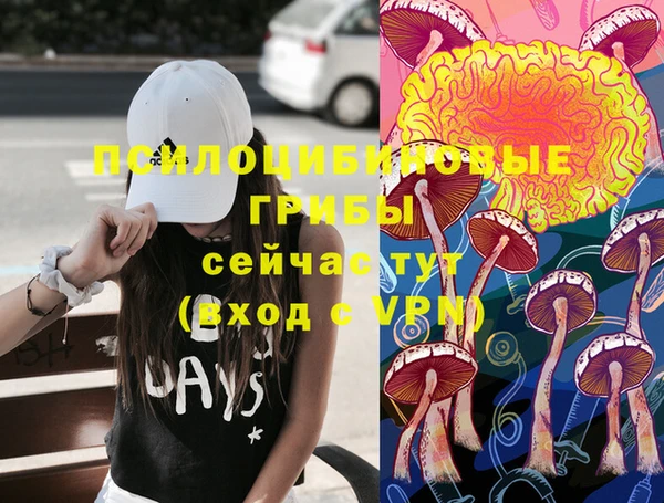 герыч Богородицк