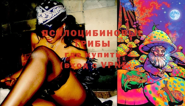марки nbome Богданович